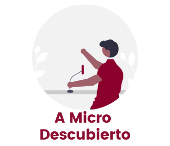 A micro descubierto