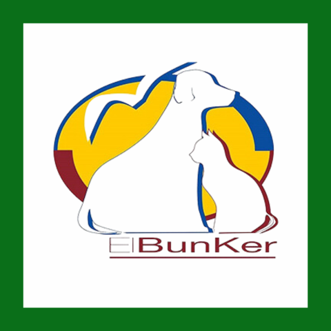 El bunker